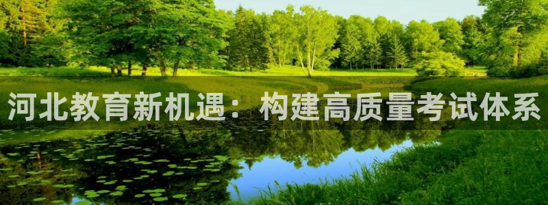 新宝堂新会陈皮5年