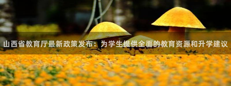 新宝5是什么