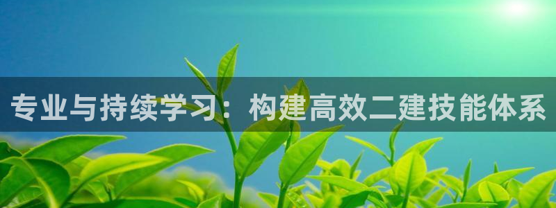 新宝5内部