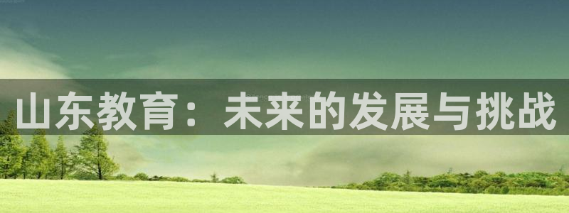新宝奇迹GG5
