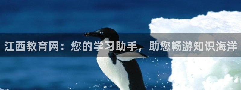 新宝h2O5O5O