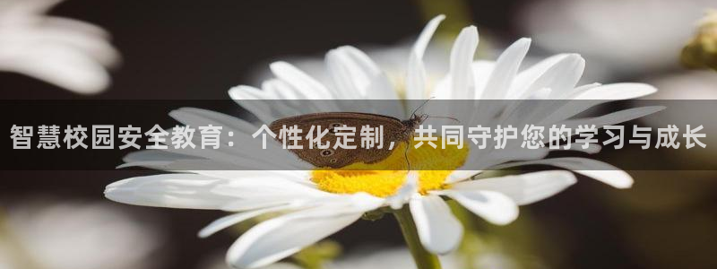 新宝5的网址