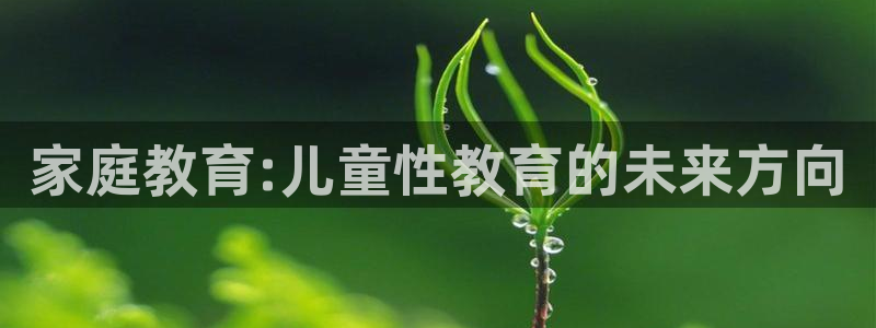 菲律宾新宝5老板