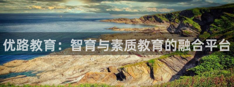 新宝5软件下载
