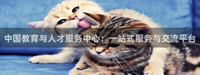 新宝5手机登陆