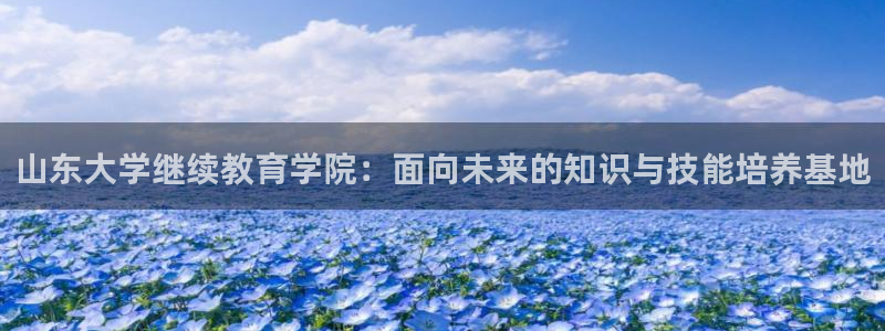新宝5导师