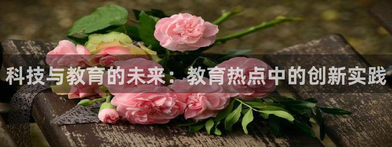 新宝5总代