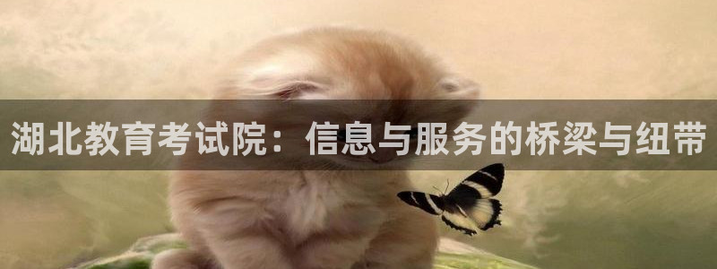 新宝5系列