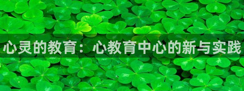 新宝5测速在线