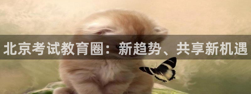新宝5官网app