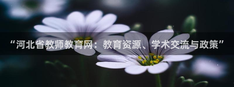 新宝5如何下载