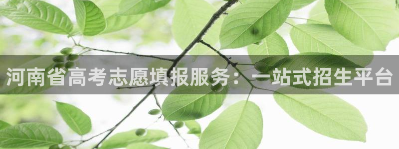 下载新宝5