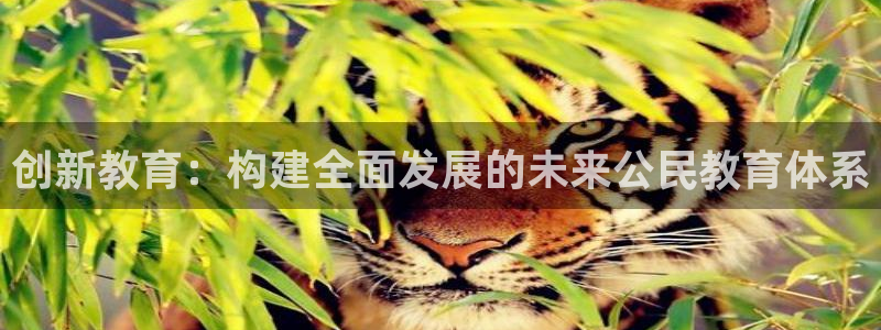 新宝5源码