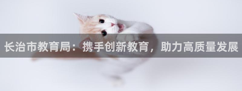 新宝5软件下载
