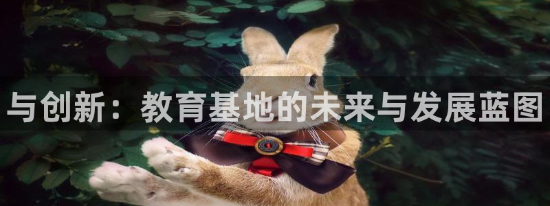 新宝5是什么