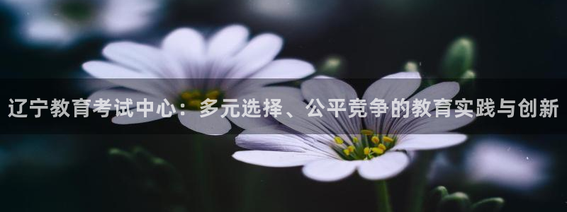 新宝5是谁的