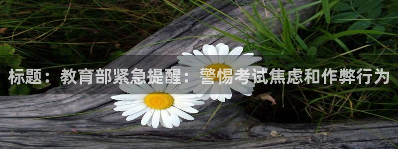股票5G宝新
