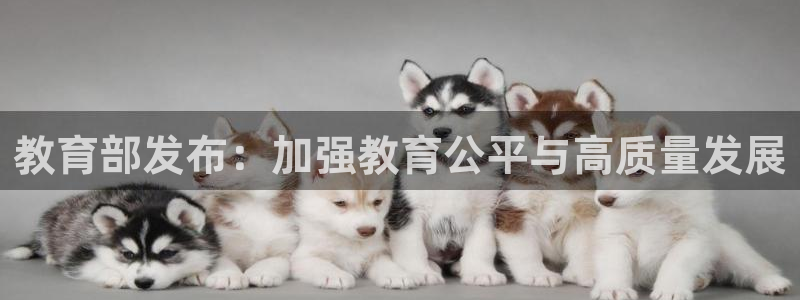 新宝5测速登陆
