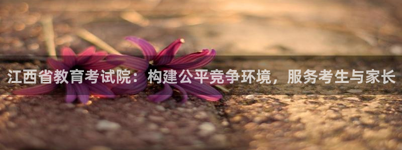 新宝5苹果手机下载