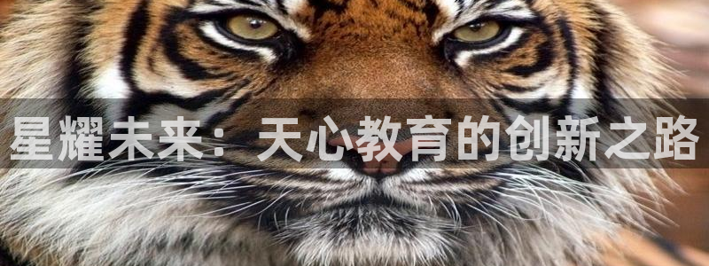 新宝5彩票平台登陆