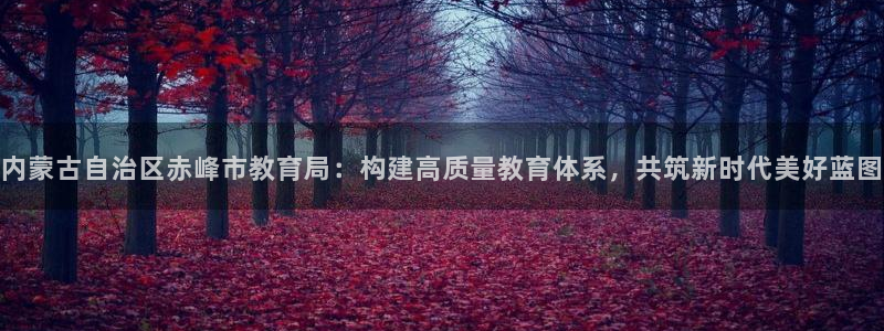 新宝5官方下载地址