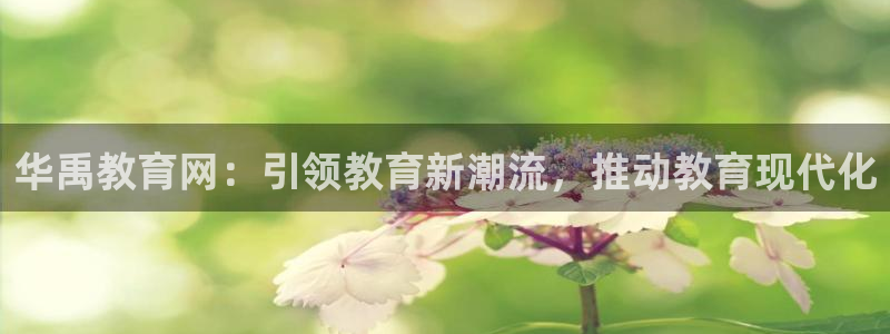 菲律宾新宝5老板