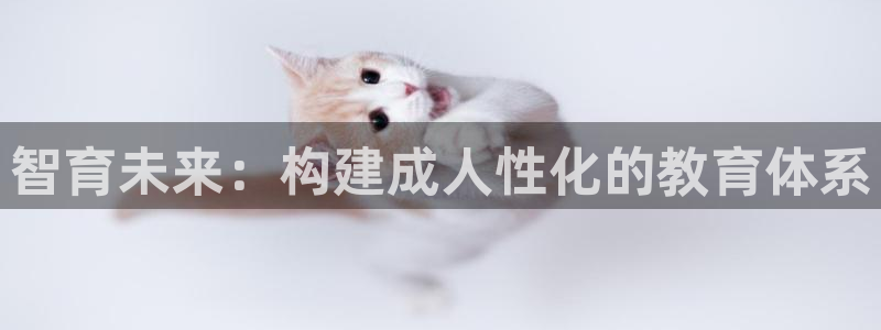 新宝5什么时候上市