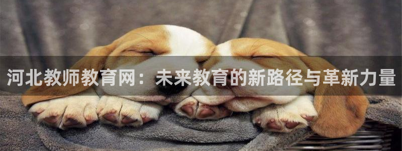 新宝5平台登陆