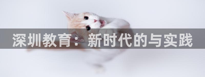 新宝5下载到桌面