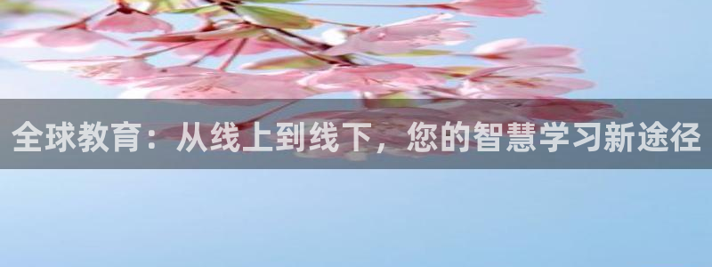 新宝5测速线路