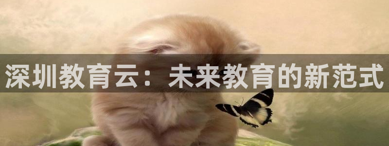新宝那2O5O5O