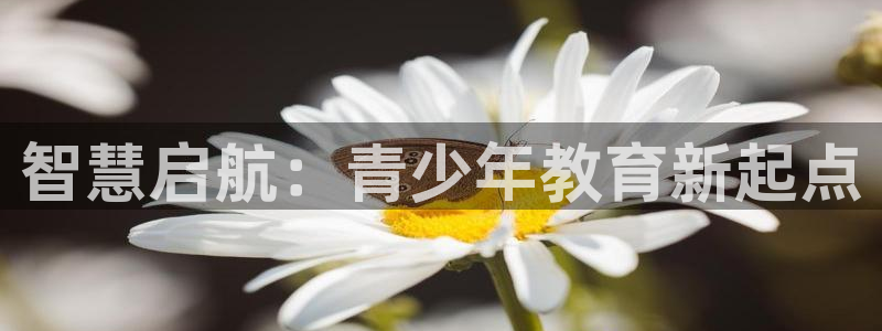 新宝5秒开