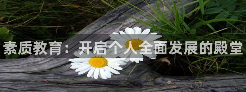 新宝h2O5O5O