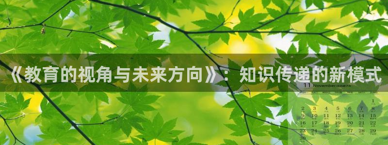 新宝5下载app