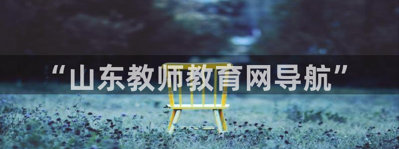 新宝5是什么样子的