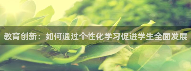 新宝5代理