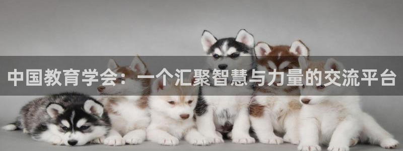 新宝5苹果手机下载